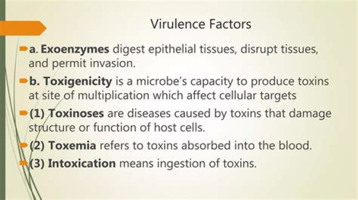 Are Exoenzymes virulence factors