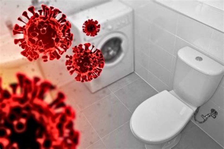 Can bacteria live on toilet seats