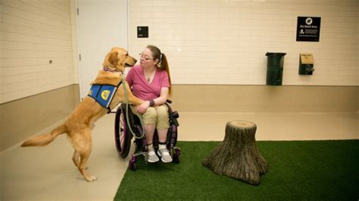 Can I bring my dog into Scheels