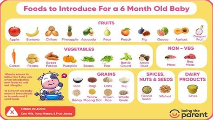 Can I give my 6 month old chocolate