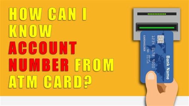 Can net10 numbers be ported