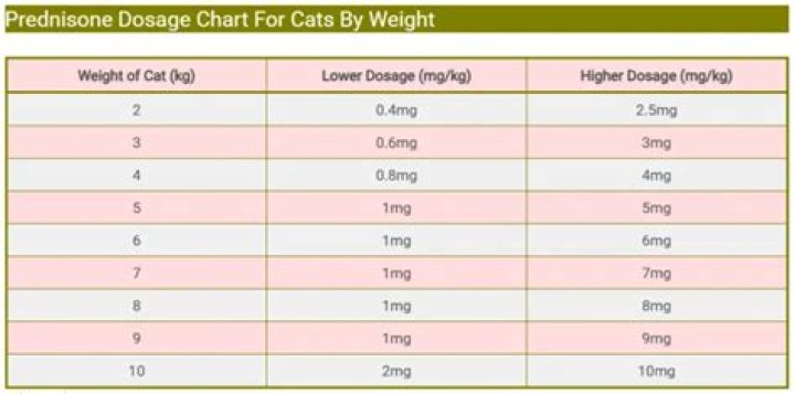 Can prednisolone be compounded for cats