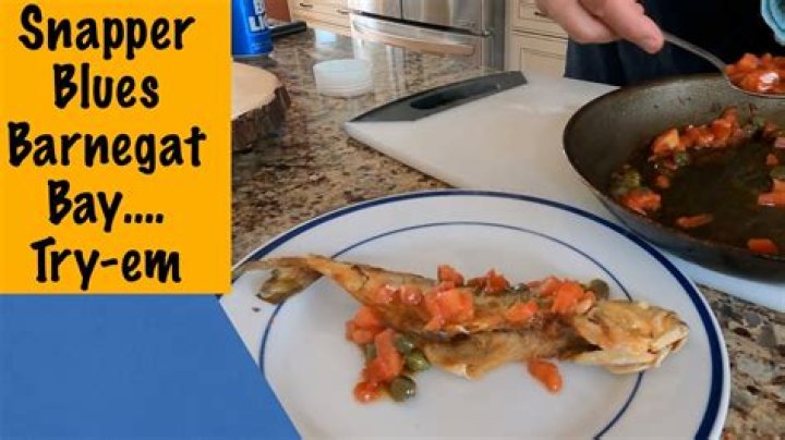 Can you eat snapper blues