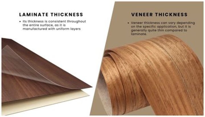 Can you stain paper veneer