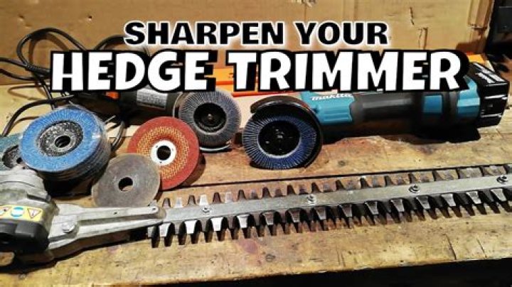 Do you need to sharpen electric hedge trimmers