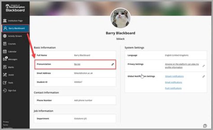 Does Blackboard have after hours support