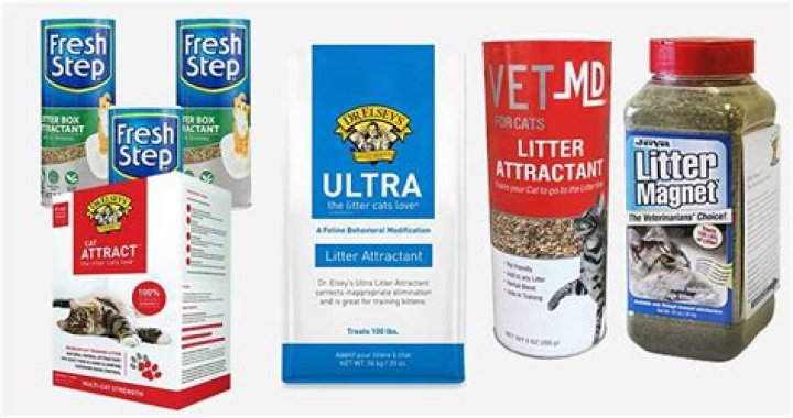 Does cat litter attract flies