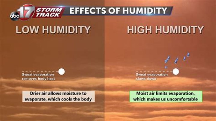 Does humidity affect anxiety