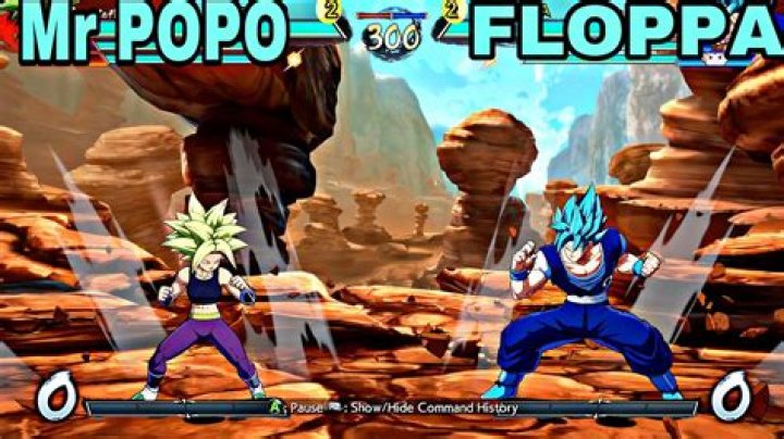 Does Mr Popo ever fight