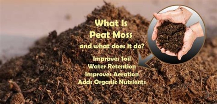 Does peat moss affect soil pH