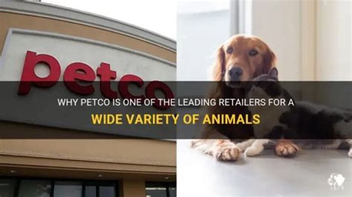 Does Petco sell chicken food