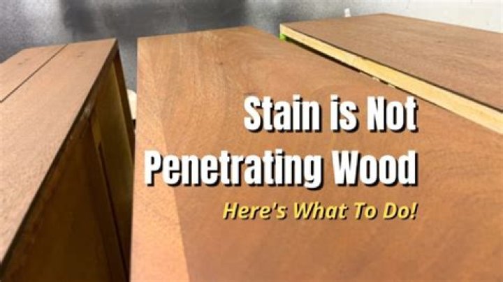 Does stain penetrate wood
