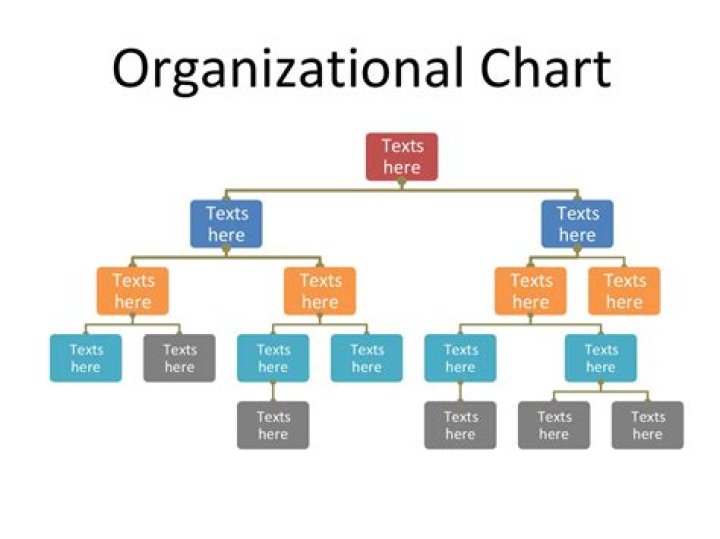 Does Word have an organizational chart template