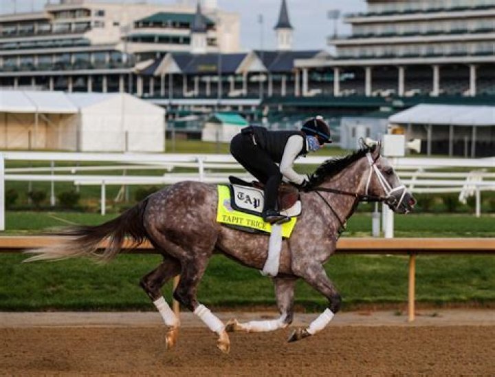 Has a GREY horse won the Kentucky Derby