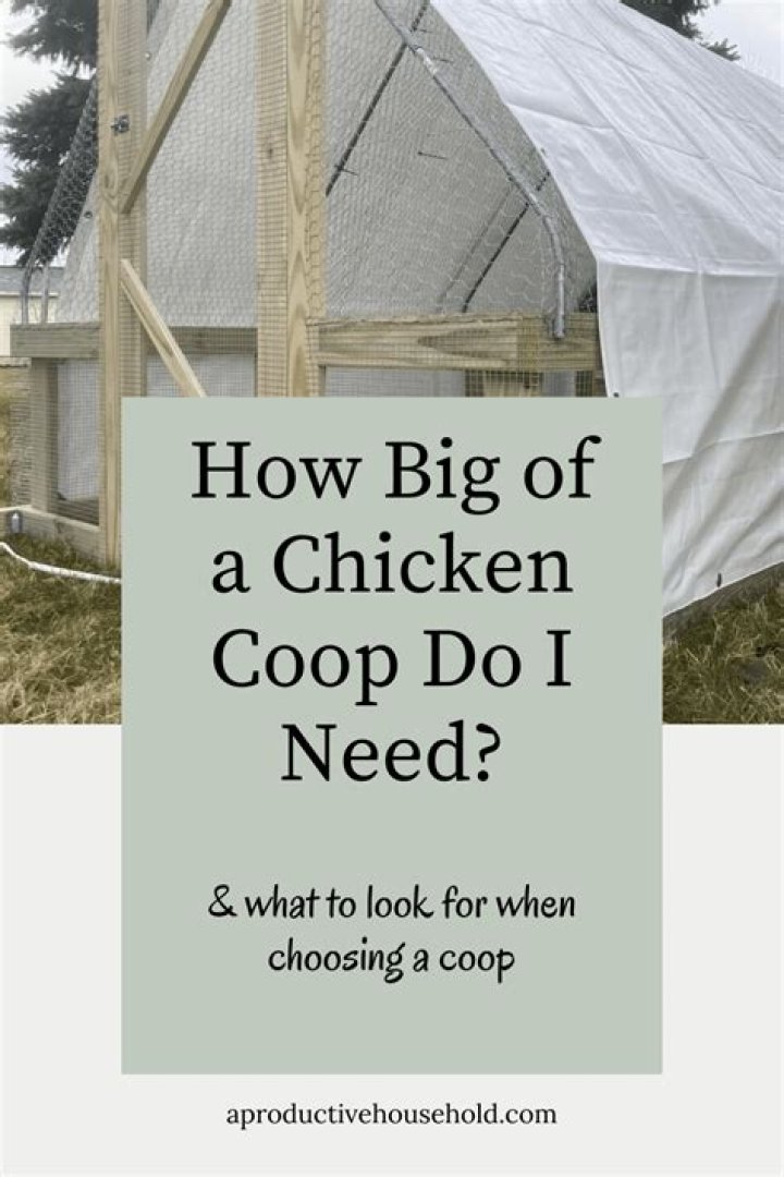 How big of a chicken coop do I need for 10 chickens