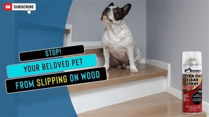 How can I make my dogs floor less slippery