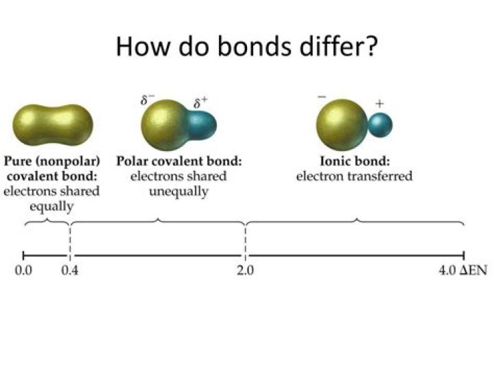 How do bonds differ
