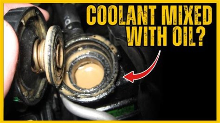How do I know if there is oil in my coolant