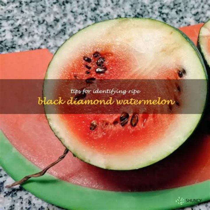 How do I know when my black diamond watermelon is ripe