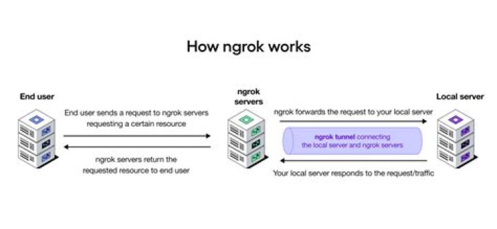 How do you execute Ngrok