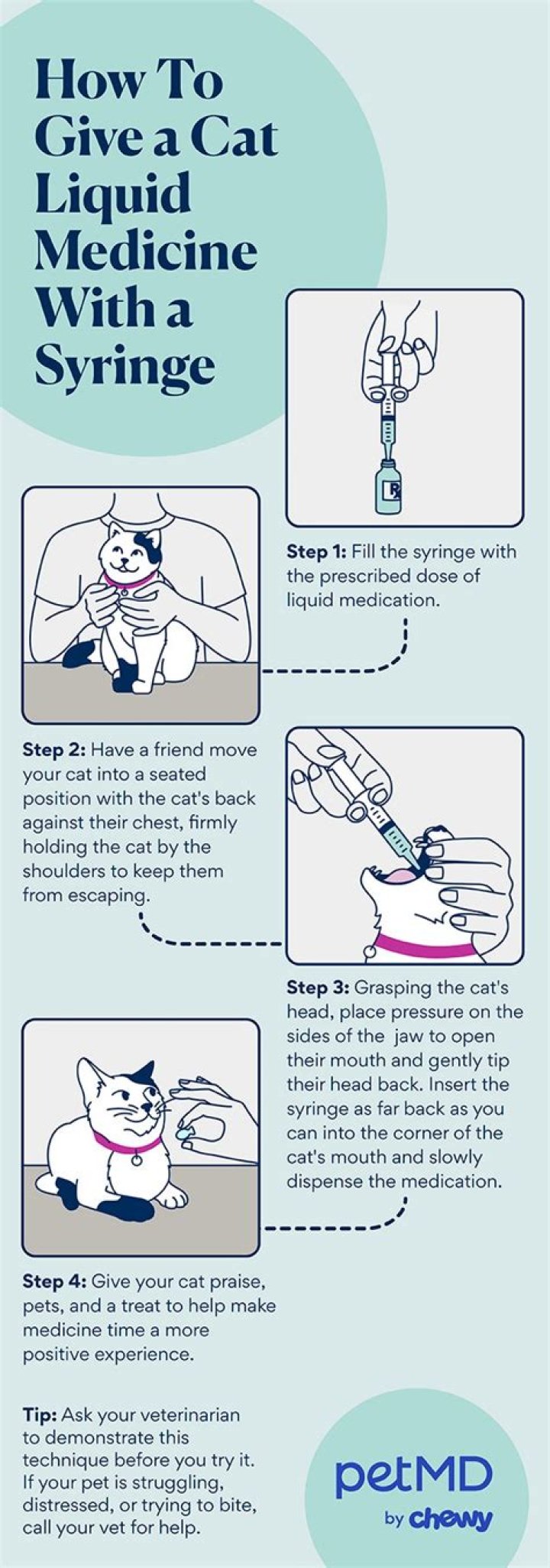 How do you give liquid methimazole to a cat