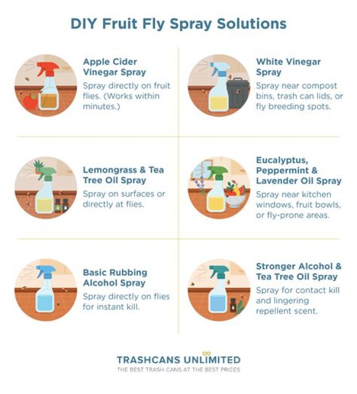 How do you kill fruit flies homemade spray