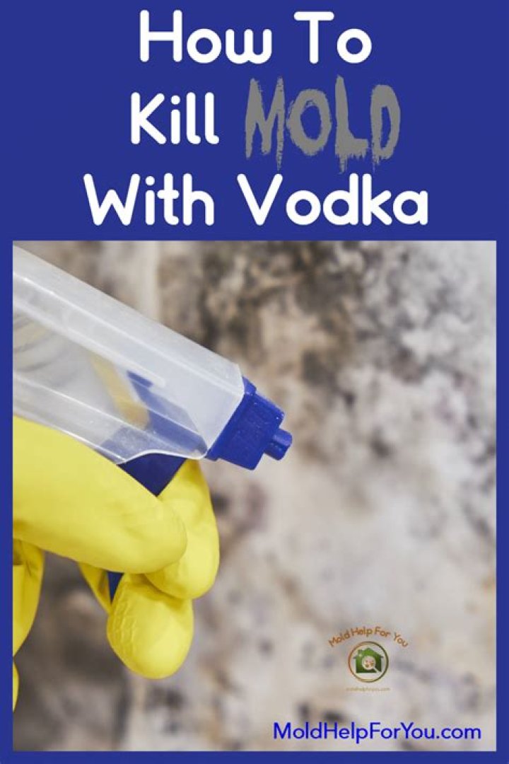 How do you kill mold with vodka