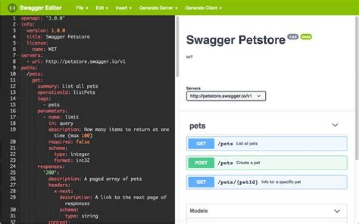 How do you use swagger
