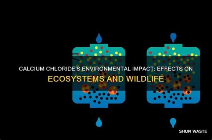 How does calcium chloride affect the environment
