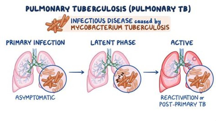 How does Mycobacterium leprae move