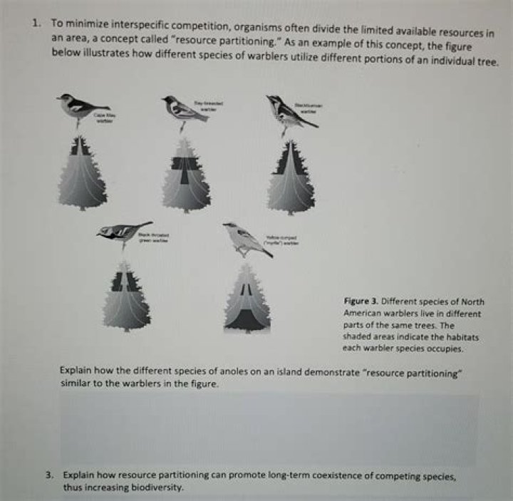How is an Ecomorph different from a species