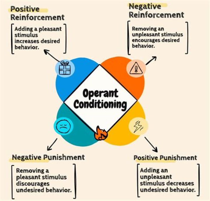 How is operant conditioning used in the workplace