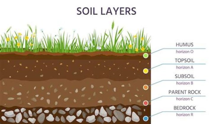 How long does it take to build an inch of topsoil on the plains