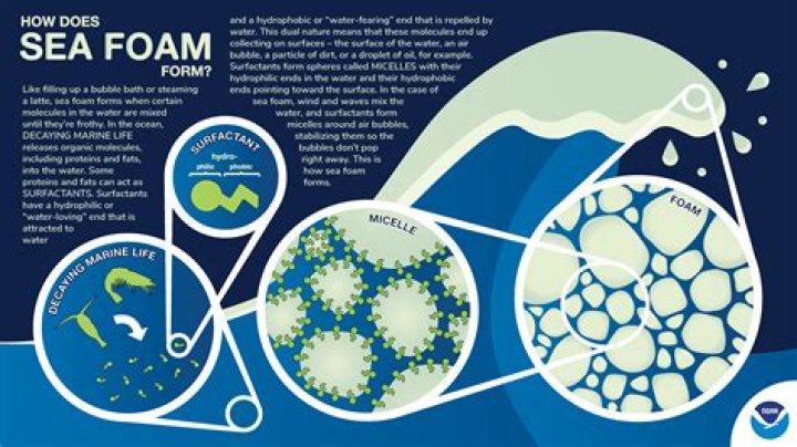 How long does seafoam take to work