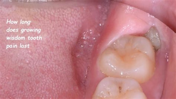 How long does the oral stage last