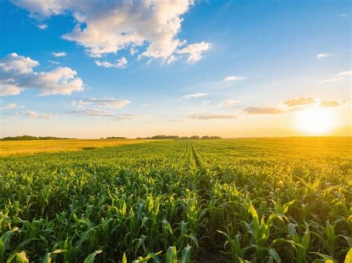 How long is the growing season in Texas