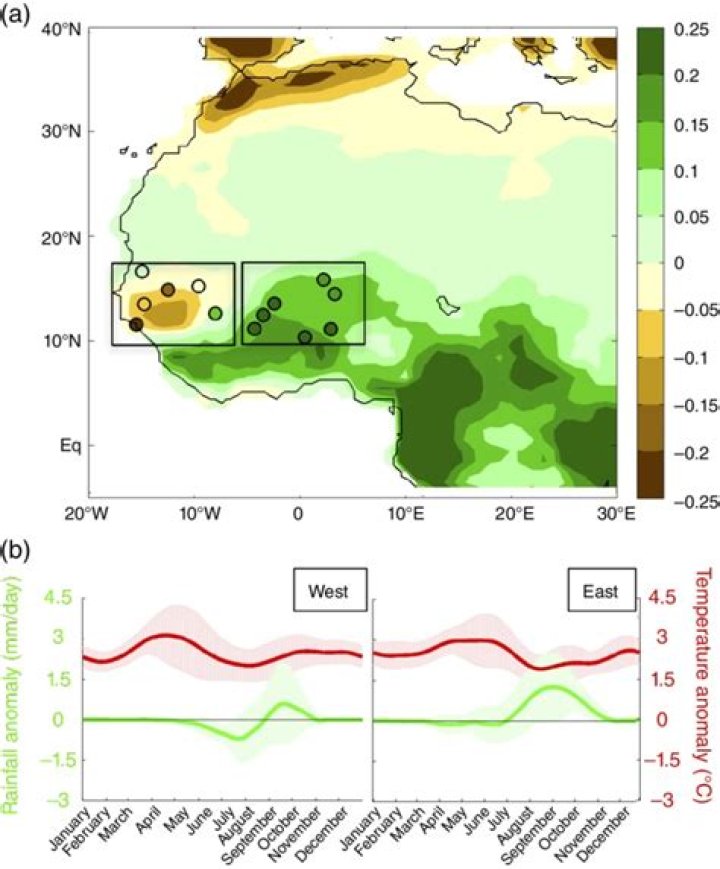 How much rainfall does the Sahel receive