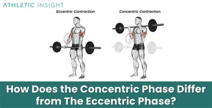 Is a lunge eccentric or concentric
