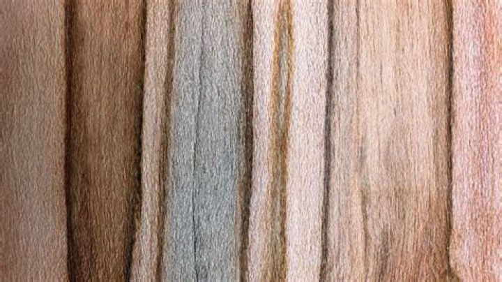 Is Ambrosia Maple hard or soft