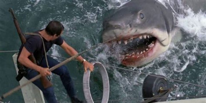 Is Jaws a 4th of July movie