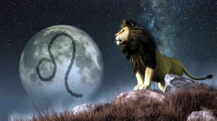 Is Leo the Lion real