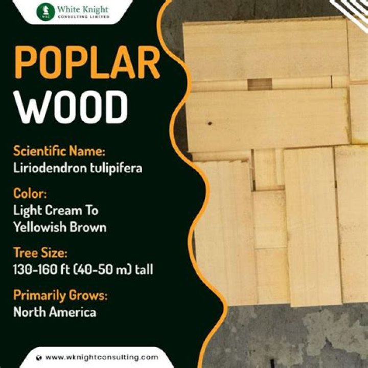 Is poplar wood good for siding