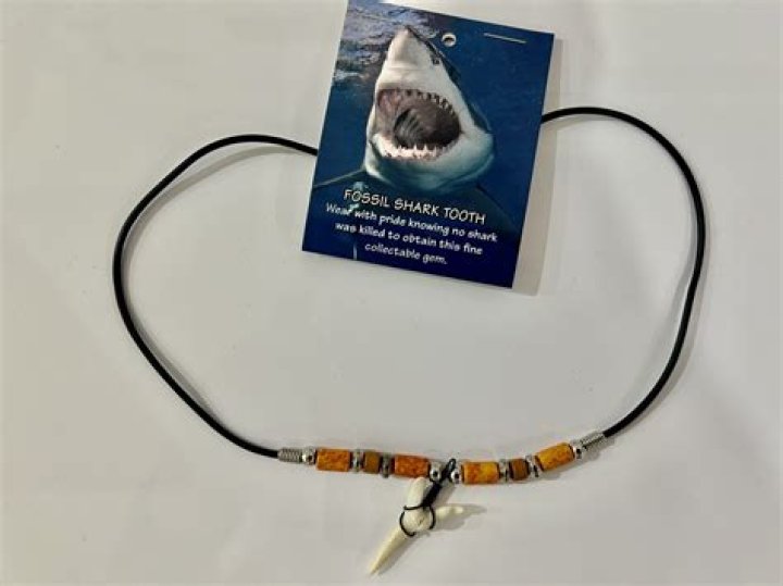 Is shark tooth necklace good Terraria