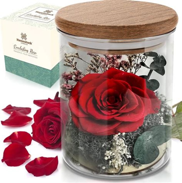 Is The Forever Rose real