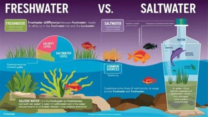 Is the Nile River freshwater or saltwater