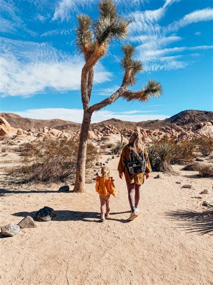 Is there any water in Joshua Tree