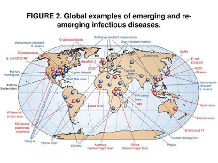 What are emerging infectious diseases
