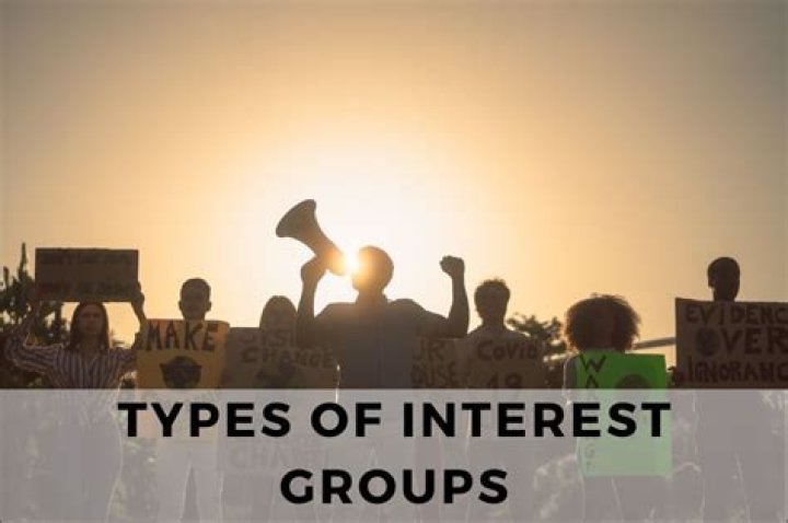 What are popular interest groups