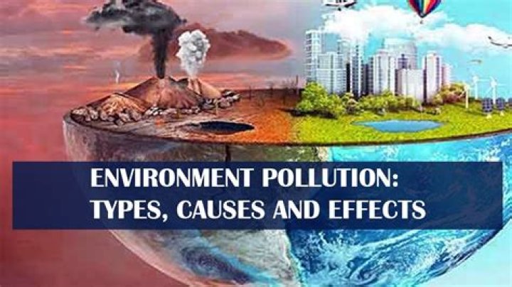 What are the effects of different types of pollution