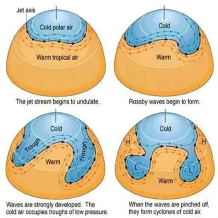 What are two main types of freshwater